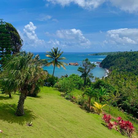 Sea Cliff Eco-Cottages & Gin Distillery Calibishie Ngoại thất bức ảnh