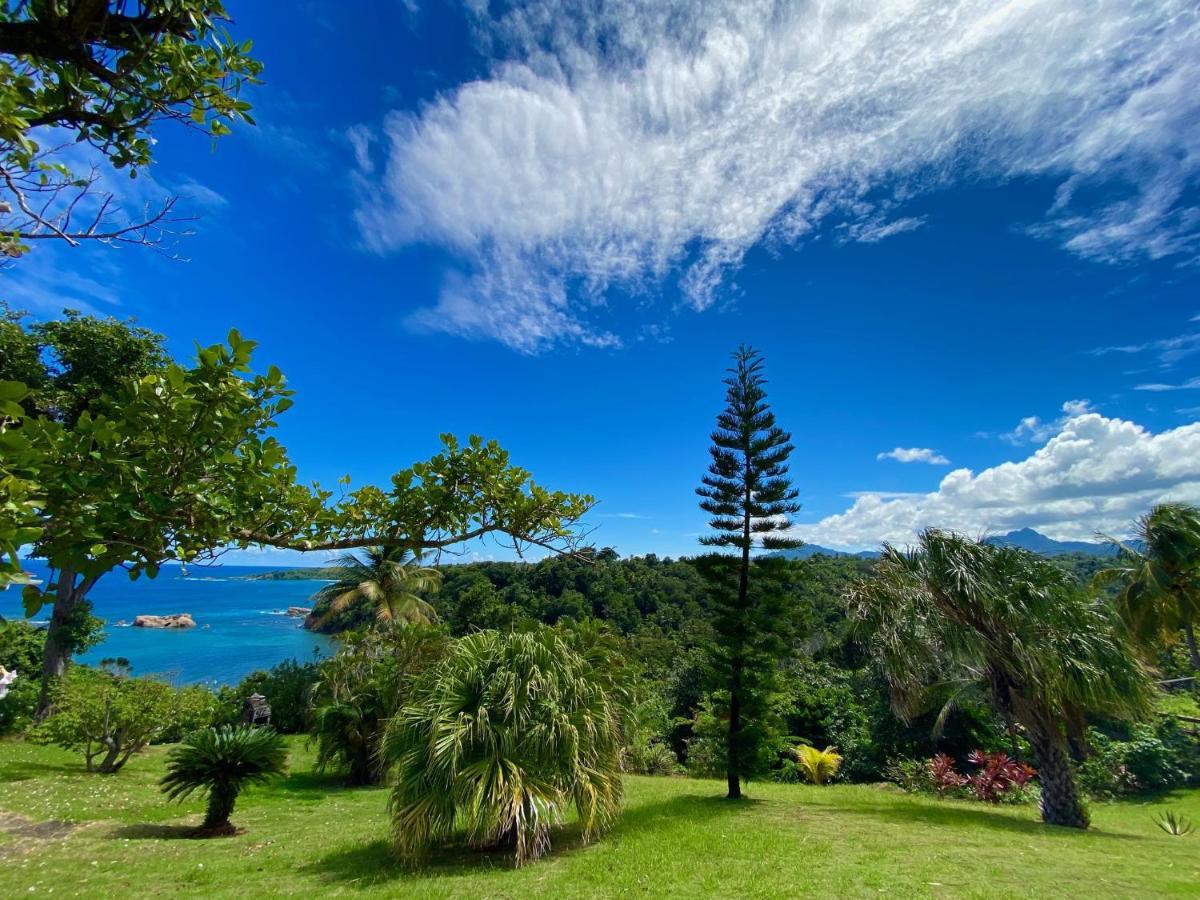Sea Cliff Eco-Cottages & Gin Distillery Calibishie Ngoại thất bức ảnh