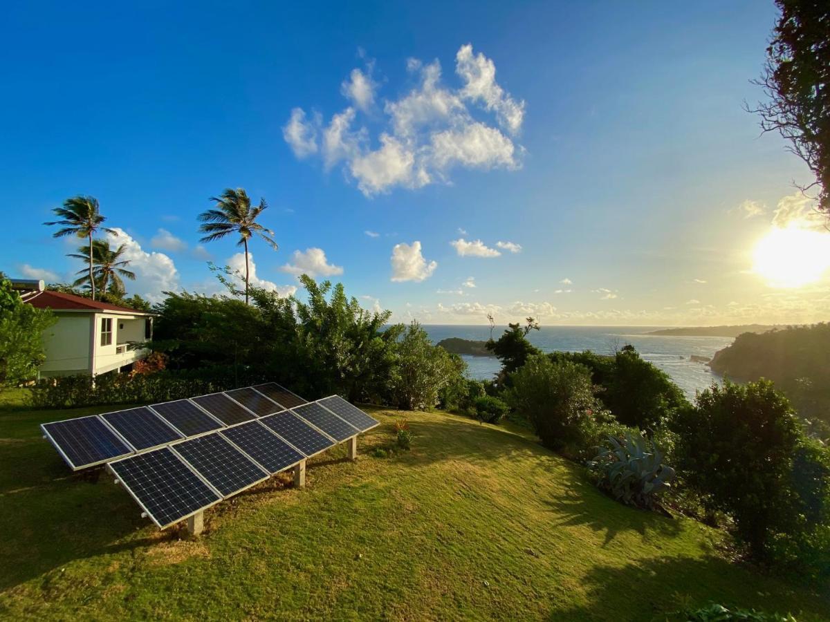 Sea Cliff Eco-Cottages & Gin Distillery Calibishie Ngoại thất bức ảnh