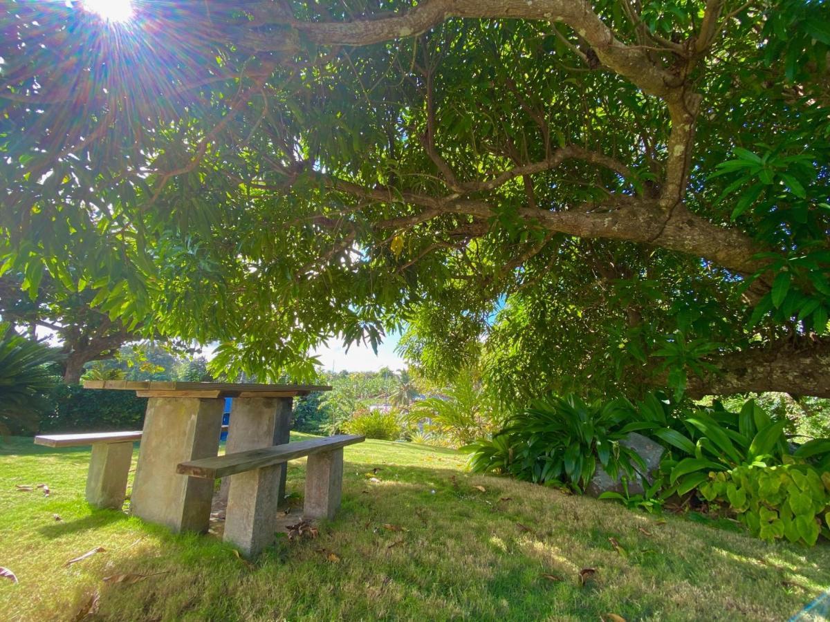 Sea Cliff Eco-Cottages & Gin Distillery Calibishie Ngoại thất bức ảnh
