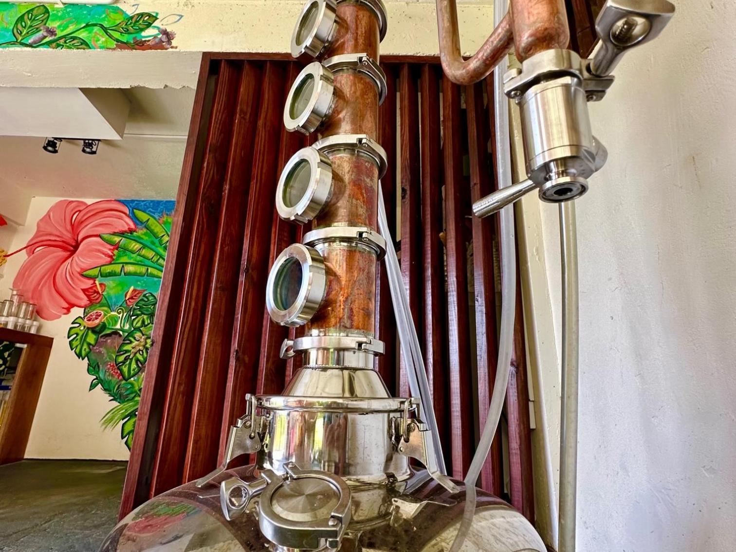 Sea Cliff Eco-Cottages & Gin Distillery Calibishie Ngoại thất bức ảnh